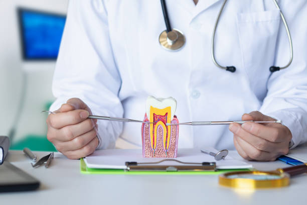 Best 24-Hour Emergency Dentist in Kearney Park, MS